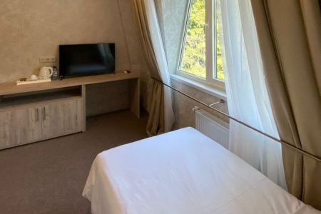 Стандартный 1-местный 1-комнатный (без балкона, вид на парк)