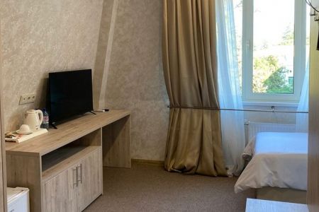 Стандартный 1-местный 1-комнатный (без балкона, вид на парк)