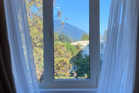 Стандартный 1-местный 1-комнатный (без балкона, вид на парк)