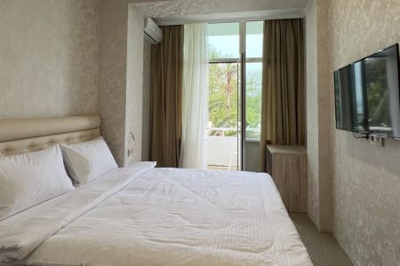 Стандартный 2-местный 1-комнатный (с балконом, вид на Гагру)