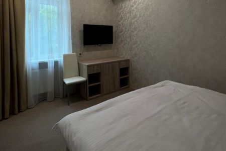 Супериор 2-местный 1-комнатный (без балкона, вид на парк)