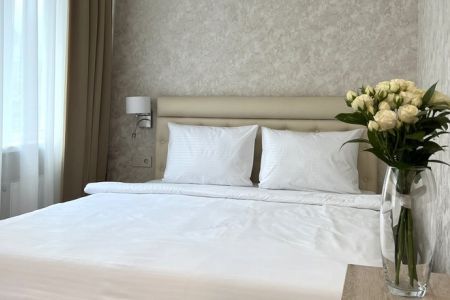 Улучшенный 2-местный 1-комнатный Стандартный (без балкона, вид на парк)