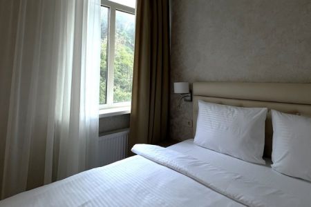 Улучшенный 2-местный 1-комнатный Стандартный (без балкона, вид на парк)